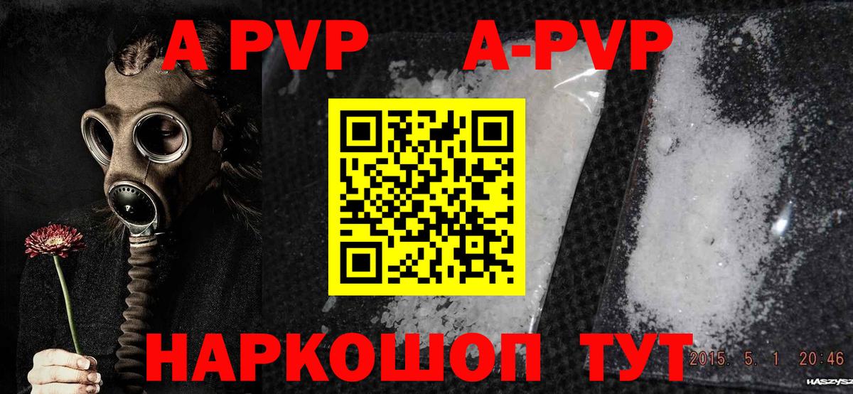 A PVP СК Электрогорск