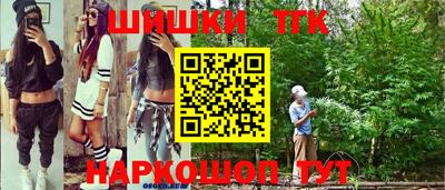 винт Можга